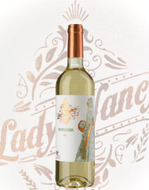 Mersegurera cara_Mesa de trabajo 1